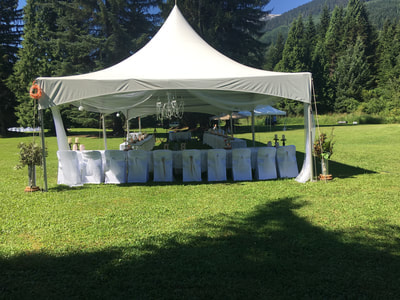 Danielle and Brendan Chesterman's Wedding Aug. 5 2017, tent set up outside.