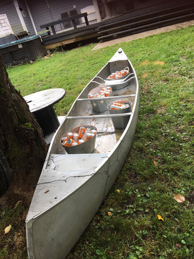 Staged canoe with beer by a wedding planner in Terrace BC.
